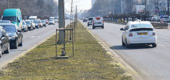 (FOTO) O nouă tehnologie de semănare a ierbii pe spațiile verzi din Capitală