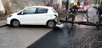 IGSU – la datorie! Au lichidat situațiile de risc provocate de vântul puternic