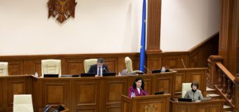 Votat în prima lectură: Sintagma „limba română” – în toate legile Republicii Moldova