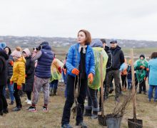 (VIDEO) Maia Sandu, de Ziua Internațională a Pădurii: Viața, sănătatea și confortul nostru depind mult mai mult de păduri decât ne-am fi imaginat
