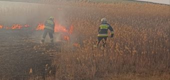 31 de cazuri de incendii de vegetație în ultimele 24 ore