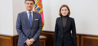 Mai multe subiecte discutate de Maia Sandu cu secretarul de stat pentru afaceri europene al Portugaliei
