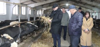 Vladimir Bolea în vizită la o exploatație zootehnică