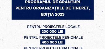 Program de Granturi pentru organizațiile de tineret