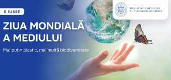Ziua Mondială a Mediului. Ce a pregătit ministerul de resort