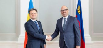 Premierul a avut discuție cu omologul său din Liechtenstein