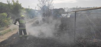 Mai multe hectare de culturi agricole și vegetație uscată au fost compromise de flăcări în ultimele 24 de ore