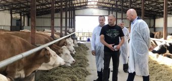 Vladimir Bolea a vizitat ferma zootehnică din Ghelăuza, Strășeni