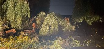 Salvatorii au intervenit la lichidarea consecințelor furtunii de aseară în mai multe raioane