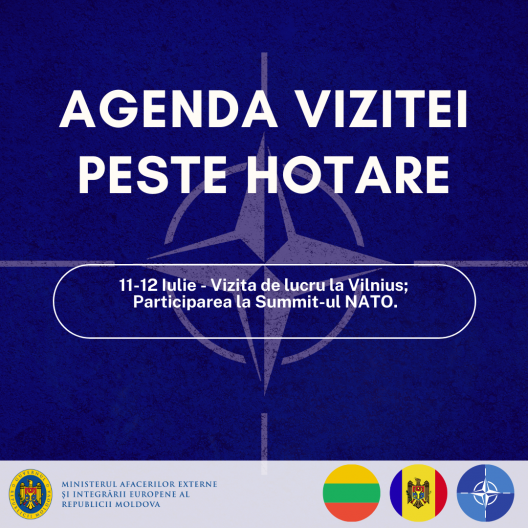 Nicu Popescu participă la Summit-ul NATO