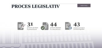 Pe parcursul lunii iunie, în plenul Parlamentului au fost votate 75 de acte normative