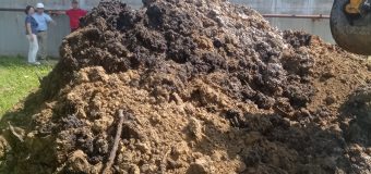 IPM: Solul de la „Termoelectrica” depășește cu aproximativ 66 de ori valoarea concentrației maxim admisibile