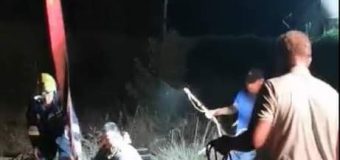 O bovină de 300 de kilograme a fost salvată dintr-o fântână de canalizare de salvatorii IGSU