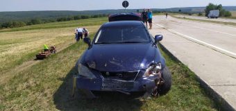 Un șofer a intrat în plin într-o turmă de oi