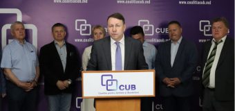 Propunerea CUB pentru partidele politice pro-europene