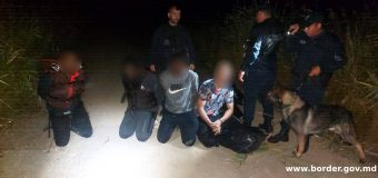 Patru tineri de origine afro-asiatică, depistați la malul Prutului