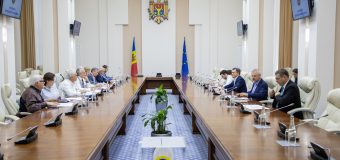 Comisia pentru decernarea Premiului Național a desemnat câștigătorii din acest an