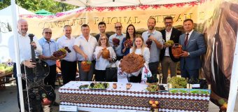 Festivalul Strugurelului a reunit viticultori din 11 raioane
