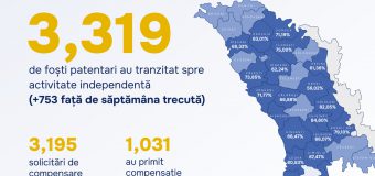 Alaiba: Circa 80% din totalul foștilor patentari au trecut la activitate independentă