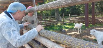 Secretarul de stat al MAIA și directorul AIPA au fost la Ocnița. Au avut discuții cu producători agricoli, procesatori și APL