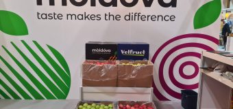 Fructele moldovenești au ajuns la expoziția Asia Fruit Logistica 2023 din China