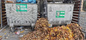 Atenționare pentru locuitorii Capitalei: Să nu depoziteze deșeurile vegetale în containerele de gunoi