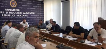 Problema exportului de cereale și floarea-soarelui discutată la Ministerul Agriculturii