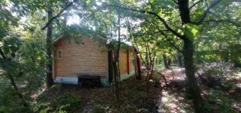Procuratura Generală a efectuat percheziții în dosarul privind acapararea ilegală a fondului forestier din masivul de pădure Durlești