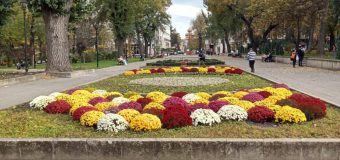 (FOTO) Chișinăul colorat
