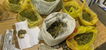 16 percheziții pe un caz cu droguri și un figurant reținut în timp ce a încercat să mituiască un polițist