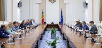 Discuții la Guvern privind acțiunile autorităților pentru a facilita tranzitul cerealelor prin țara noastră