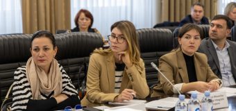 Rezultatele Recensământului de probă – discutate la Guvern
