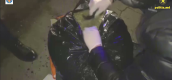 9 ani închisoare pentru infractorul din Cahul reținut cu marijuana, în drum spre Vulcănești. Captura totală valorează circa 1,5 mln. lei
