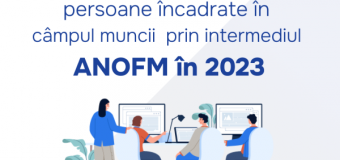 Peste 10 000 de persoane au fost încadrate în câmpul muncii în 2023 prin intermediul ANOFM