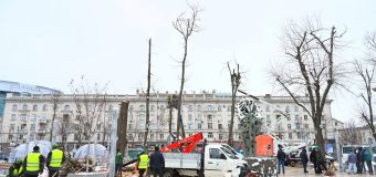 (FOTO) Defrișări în parcul Mihai Eminescu din centrul Capitalei