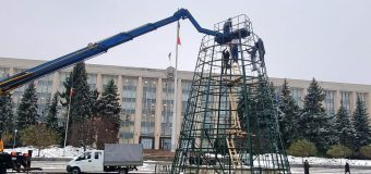 (FOTO// VIDEO) Pomul de Crăciun din centrul Capitalei – în plin proces de montare și amenajare