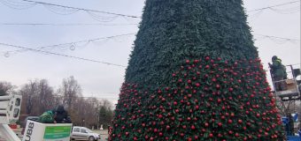 (VIDEO) Ultimele pregătiri pentru inaugurarea pomului de Crăciun în centrul Capitalei