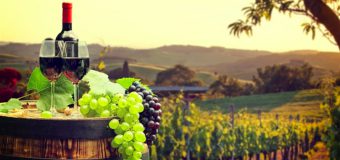 ANSA atenționează exportatorii de vin și de produse obținute pe bază de must și vin despre cerințele din Acordul de Asociere