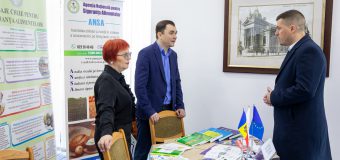 La Guvern se desfășoară Târgul de cariere