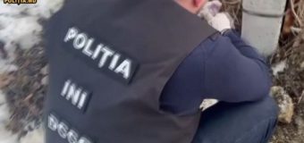 Doi bărbați suspectați de circulația ilegală a drogurilor au fost reținuți