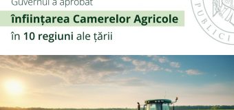 Guvernul a aprobat crearea camerelor agricole