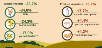 Prețul la produsele vegetale s-a micșorat, iar la produsele animaliere s-au majorat