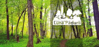 Ministerul Mediului îndeamnă la marcarea Lunii Pădurii prin implicarea activă în lucrări de plantare