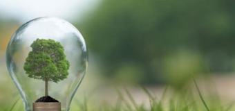 Producătorii de energie electrică din surse regenerabile vor putea vinde energia la tarife ajustate
