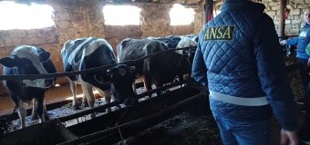 ANSA a inițiat o serie de acțiuni întru combaterea activităților tenebre cu animalele