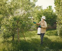 ANSA: Atenție la utilizarea pesticidelor în gospodăriile casnice