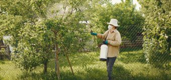 ANSA: Atenție la utilizarea pesticidelor în gospodăriile casnice