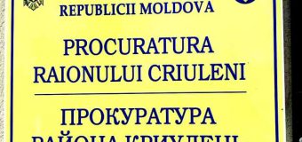 Condamnați la închisoare pentru cultivarea plantelor ce conțineau droguri