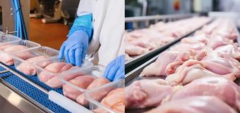 Republica Moldova a obținut, în premieră, dreptul de a exporta carnea de pasăre proaspătă în Uniunea Europeană