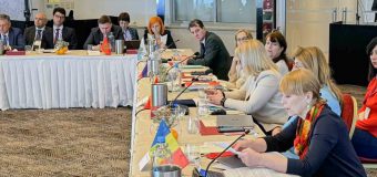Ala Nemerenco participă la reuniunea Inițiativei pentru Țările Mici
